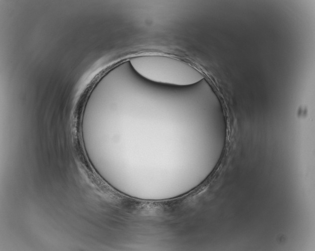 X0000113200343200909100927