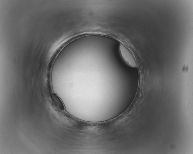 X0000113200344200909100927