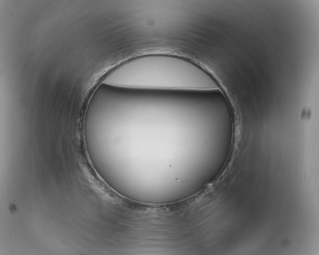 X0000113200345200909100927