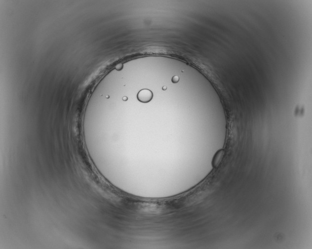 X0000113200347200909100927