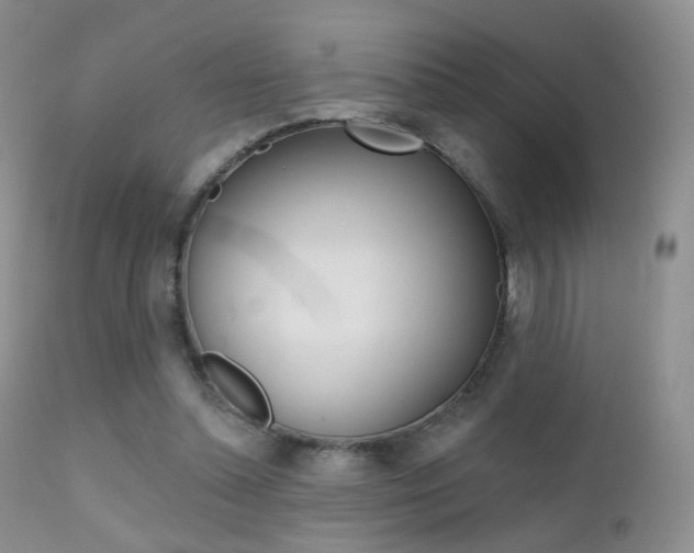 X0000113200348200909100927