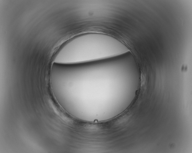 X0000113200349200909100927