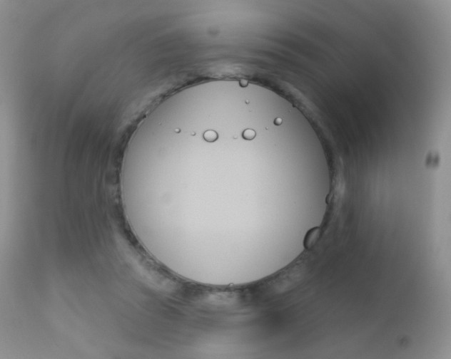 X0000113200353200909100928