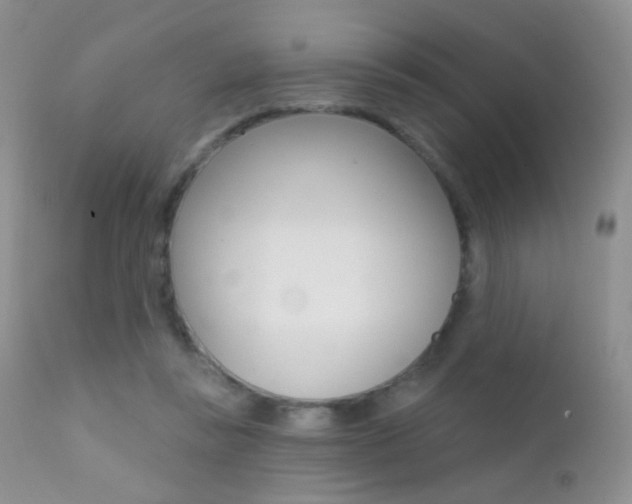 X0000113200355200909100928