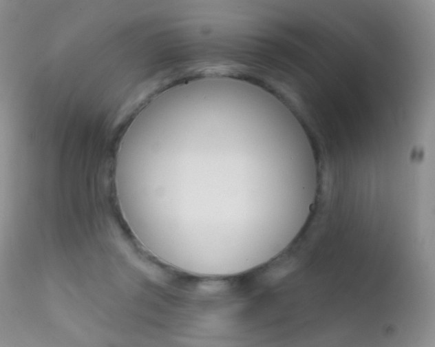 X0000113200357200909100928