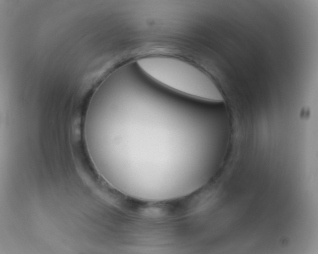 X0000113200358200909100928