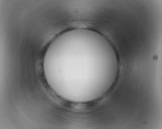X0000113200359200909100928