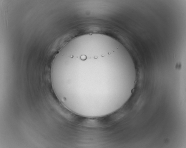 X0000113200361200909100928