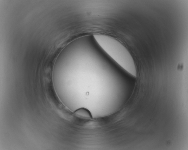 X0000113200364200909100928