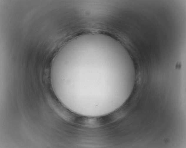 X0000113200365200909100928