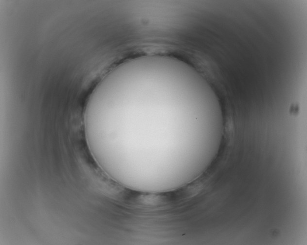 X0000113200367200909100928