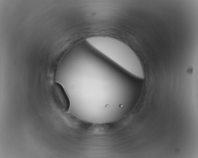 X0000113200368200909100928