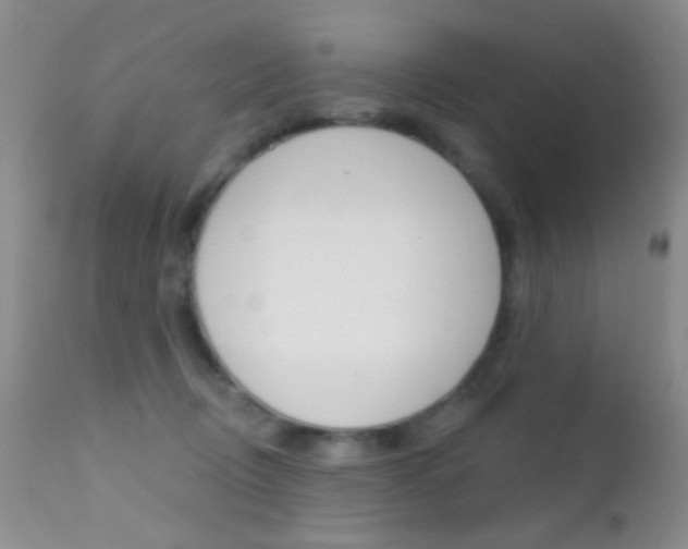 X0000113200370200909100928