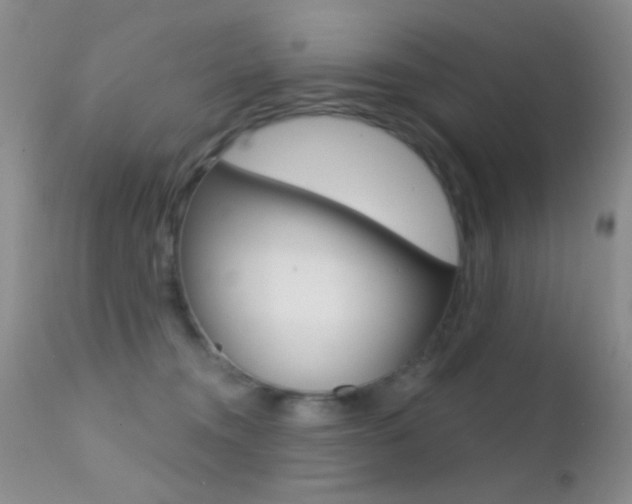 X0000113200372200909100928