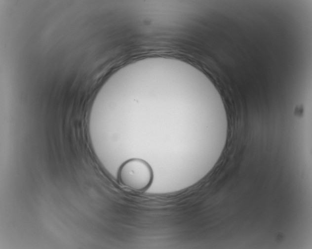 X0000113200376200909100928