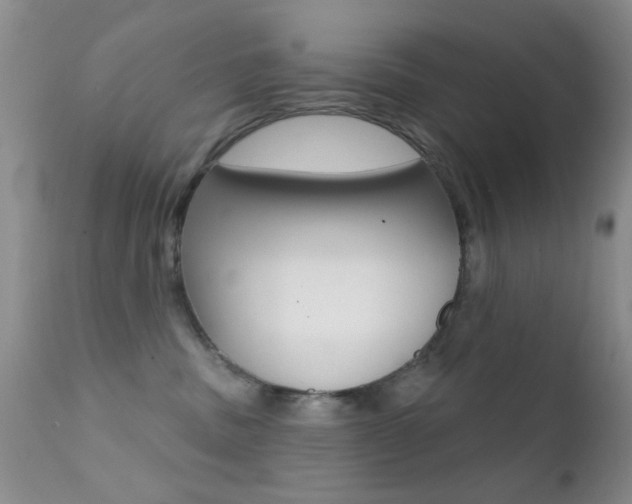 X0000113200379200909100928