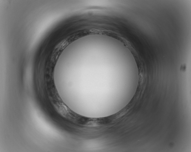 X0000113200381200909100928