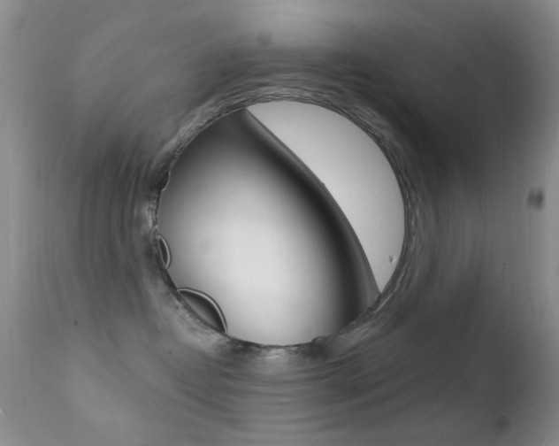 X0000113200382200909100928