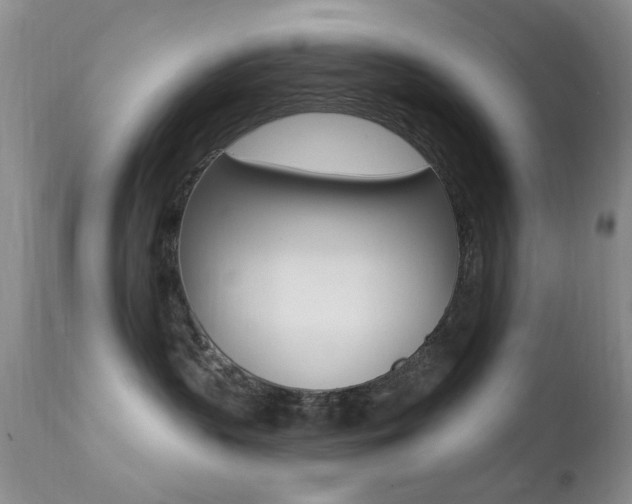 X0000113200383200909100928