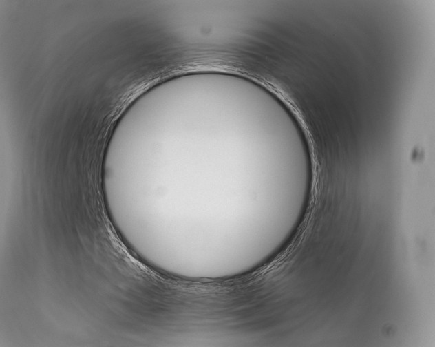 X0000113200385200909100927