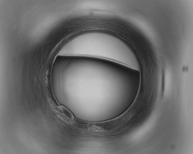 X0000113200387200909100927