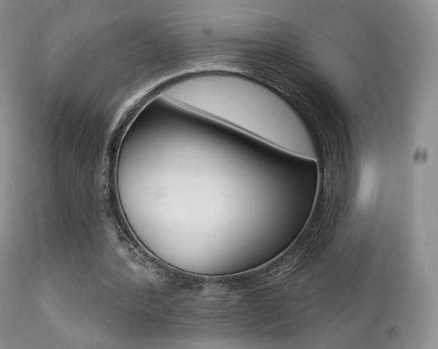 X0000113200388200909100927