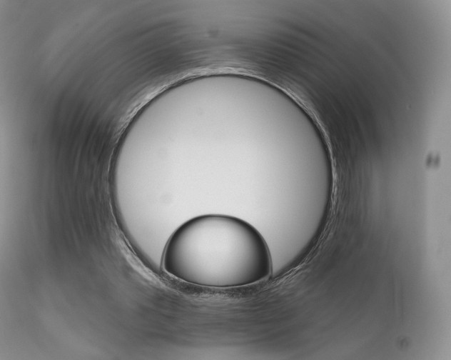 X0000113200389200909100927