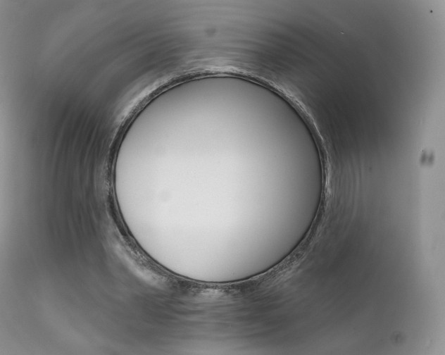 X0000113200390200909100927