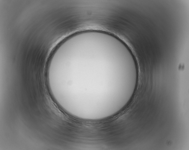 X0000113200391200909100927