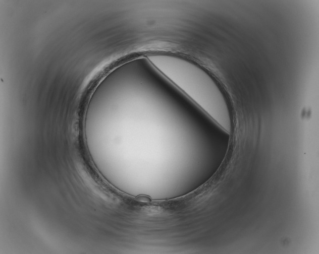 X0000113200392200909100927
