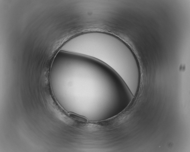 X0000113200393200909100927
