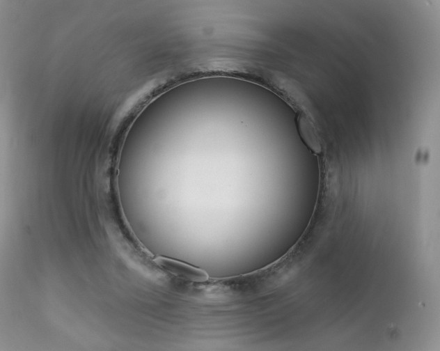 X0000113200395200909100927