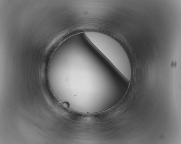 X0000113200396200909100927