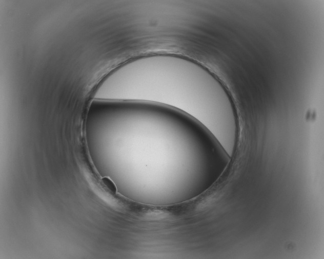 X0000113200397200909100927
