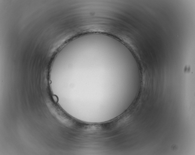 X0000113200398200909100927