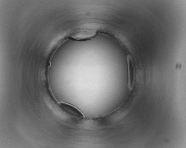 X0000113200399200909100927