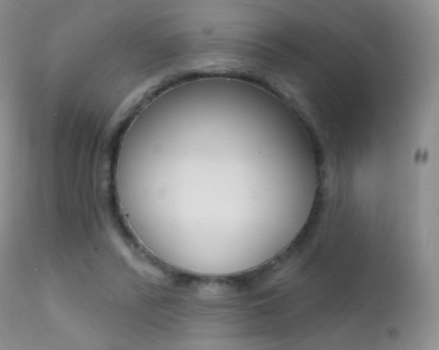 X0000113200400200909100927