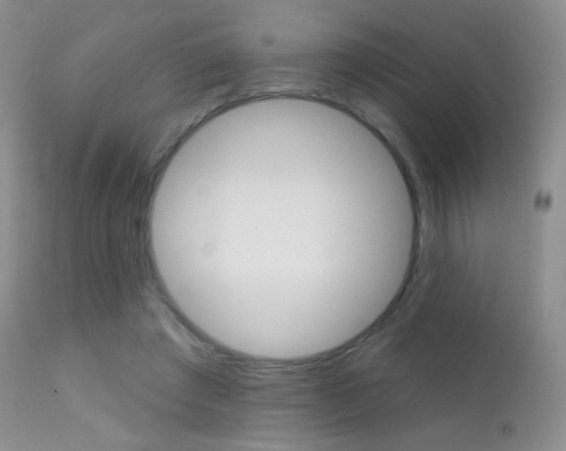 X0000113200401200909100927