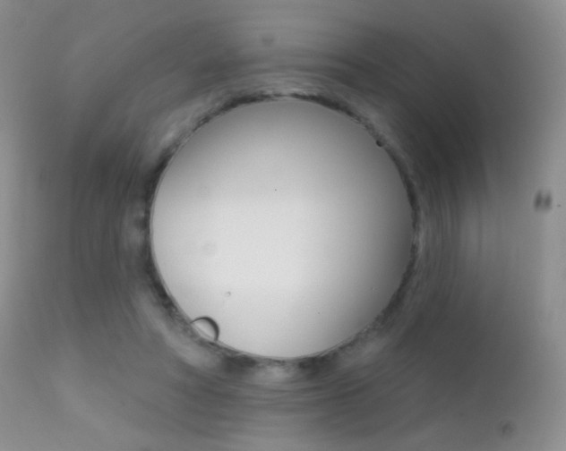 X0000113200402200909100927