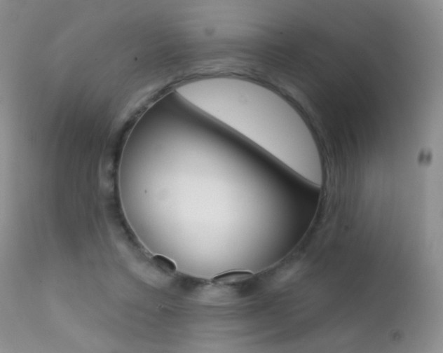 X0000113200403200909100927
