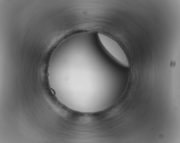 X0000113200404200909100927