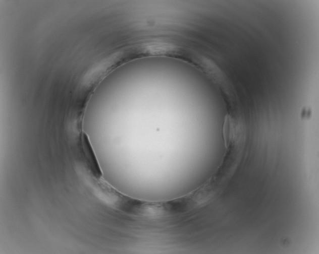 X0000113200405200909100927