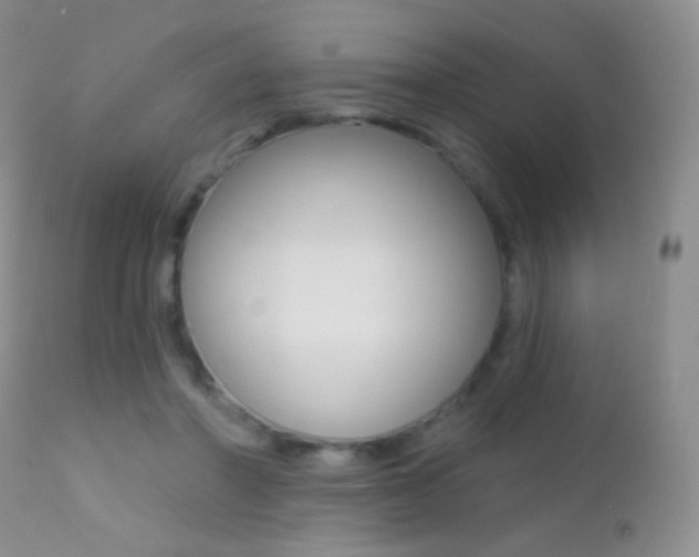 X0000113200406200909100927