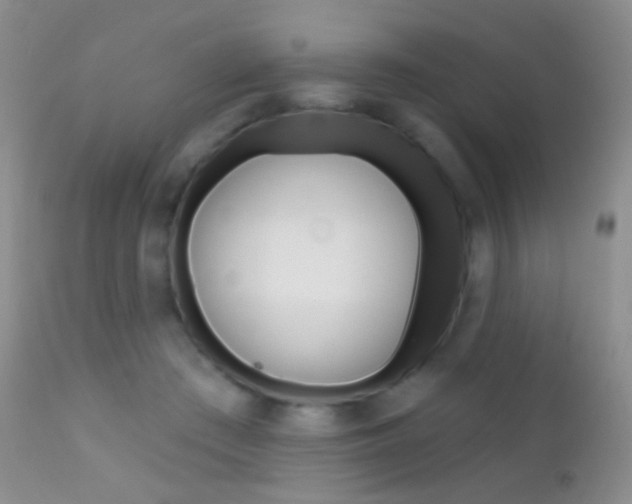 X0000113200409200909100927