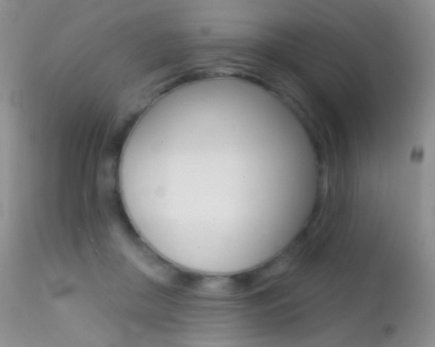 X0000113200410200909100927