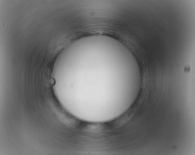 X0000113200414200909100927
