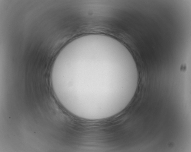X0000113200415200909100927