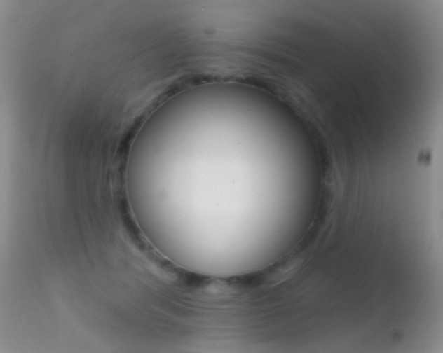 X0000113200416200909100927