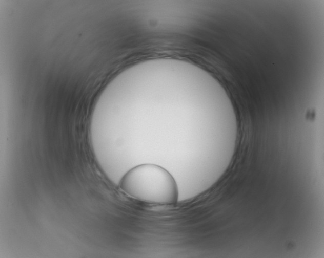 X0000113200417200909100927