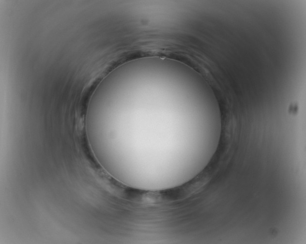 X0000113200420200909100927